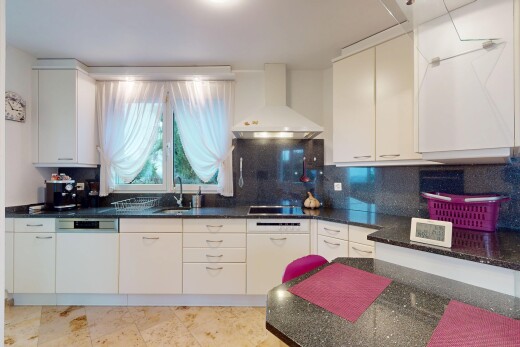 küche mit weiße schränke, waschbecken, dunstabzugshaube, und geschirrspülmaschine