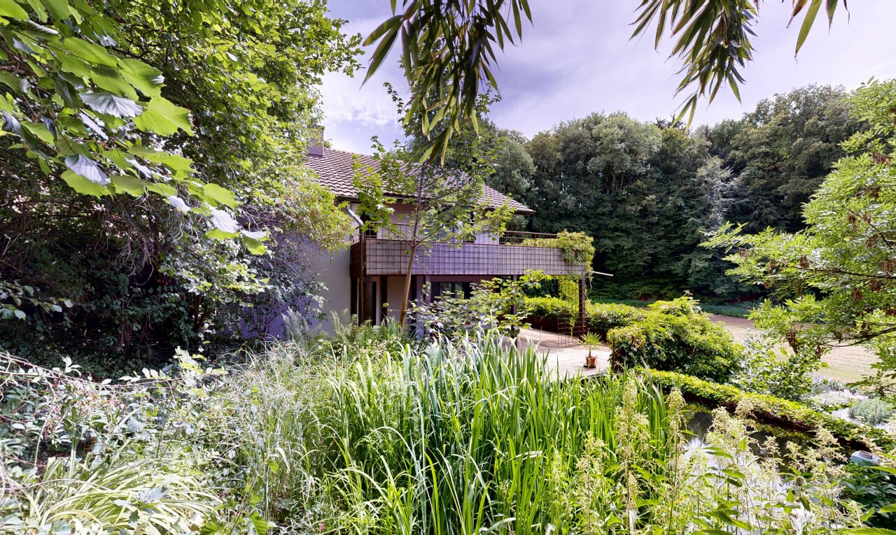 view of garden
