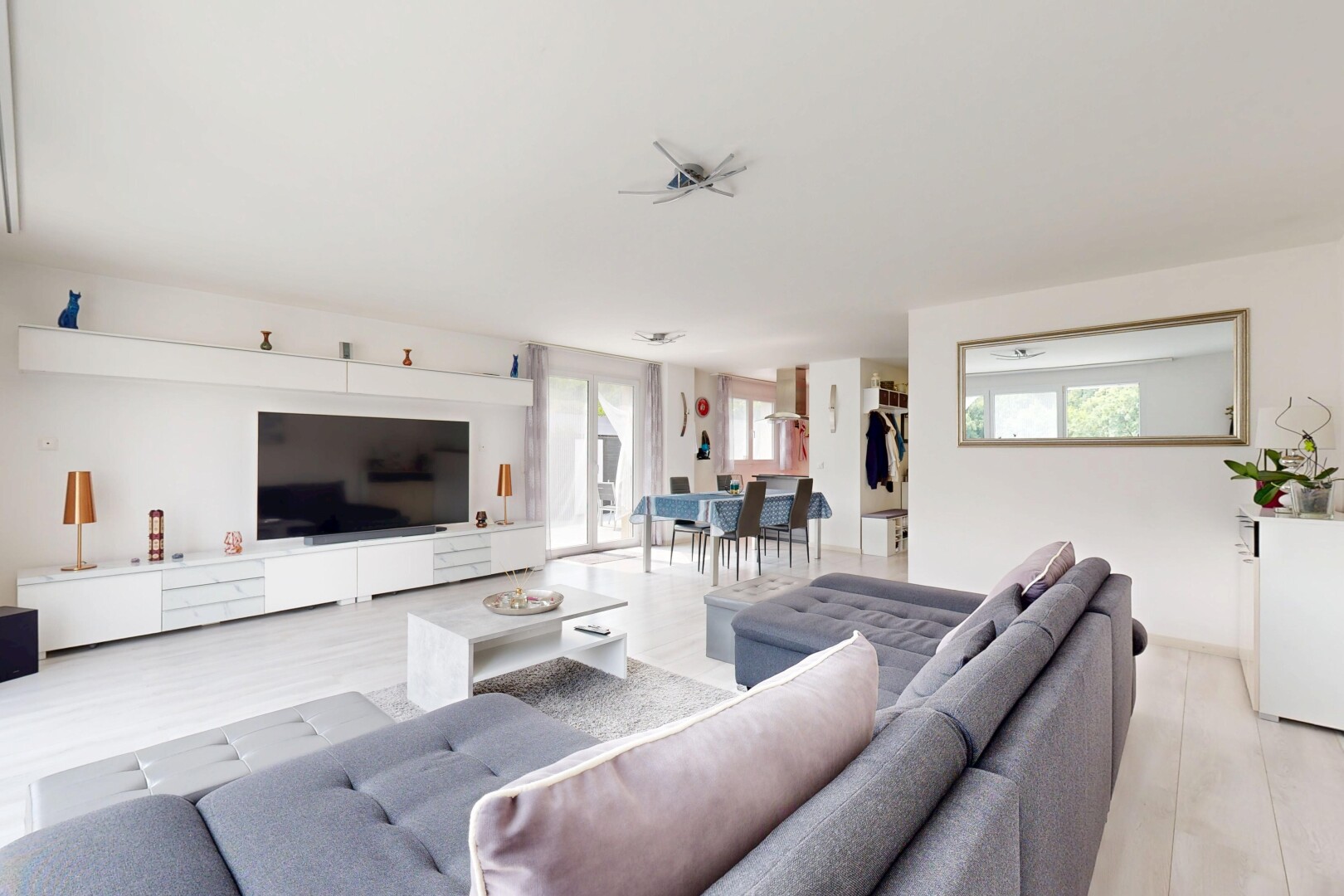 salon / salle à manger avec télévision, lumière naturelle, natural light, inside property, et cloison sèche