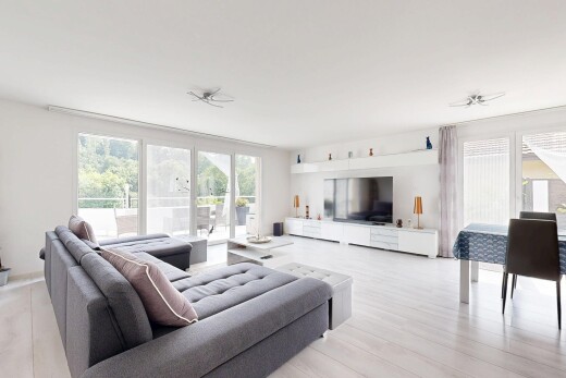 salon / salle à manger avec télévision, inside property, natural light, lumière naturelle, et wood finish floor