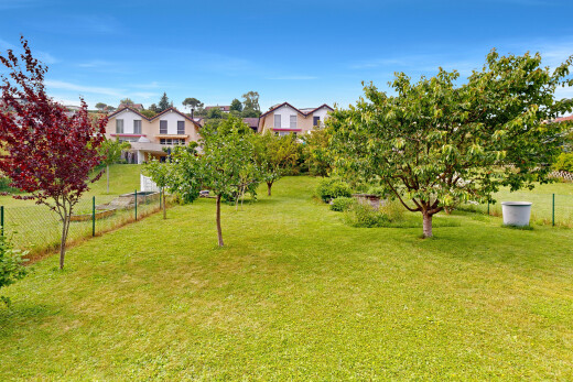 garten mit zaun, rasen, und day time