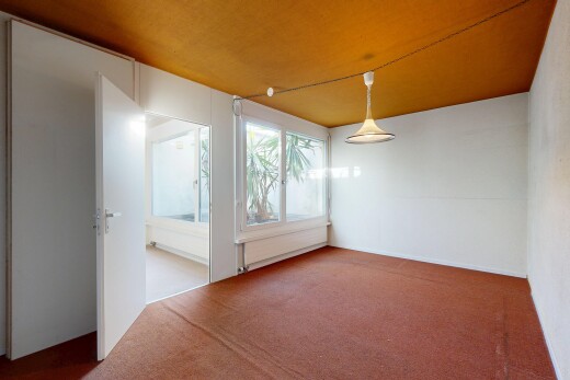 leerer raum mit natürliches licht, natural light, inside property, teppich, und carpet