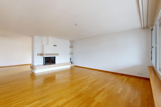 leerer raum mit kamin, gipskartonwand, drywall, inside property, und holzfußboden