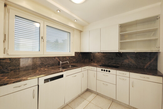 küche mit küchenrückwand beim Herd, küchenrückwand beim herd, offene regale, natural light, und natürliches licht