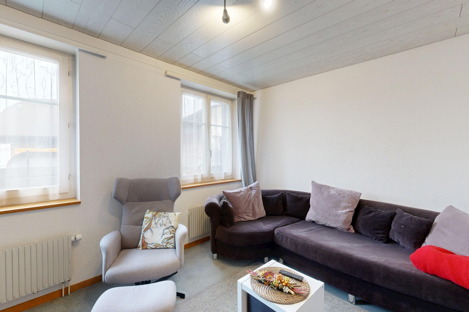 salon avec radiateur, inside property, lumière naturelle, natural light, et moquette