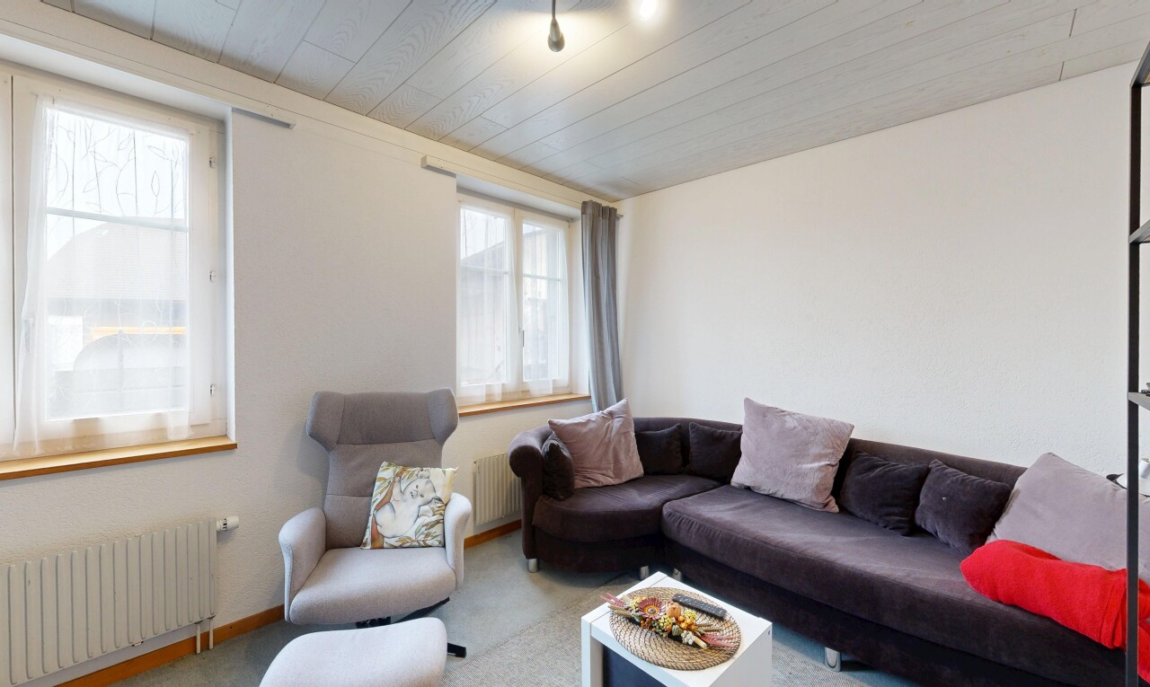 salon avec radiateur, inside property, lumière naturelle, natural light, et moquette