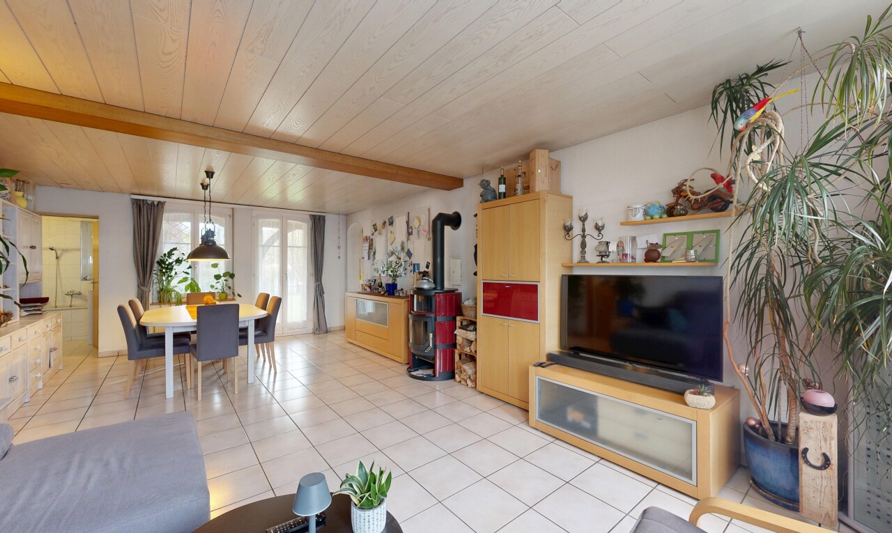 salon / salle à manger avec poêle à bois, sol en carrelage, tile floor, télévision, et lumière naturelle