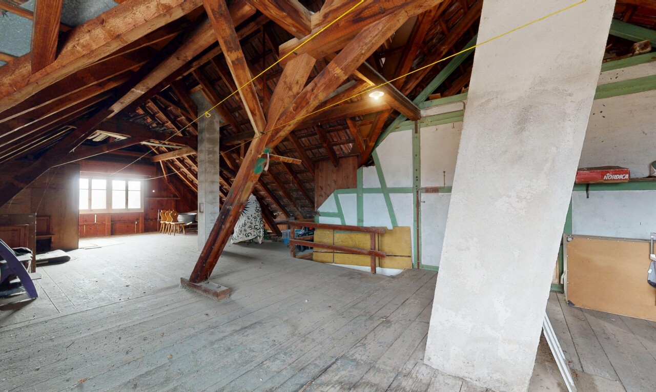 pièce vide avec plafond bas, low ceiling, lumière naturelle, natural light, et plafond voûté
