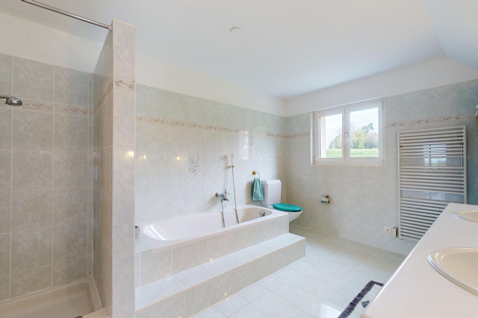 bad mit bad, komplettes badezimmer, doppelwaschtisch, dusche, und inside property
