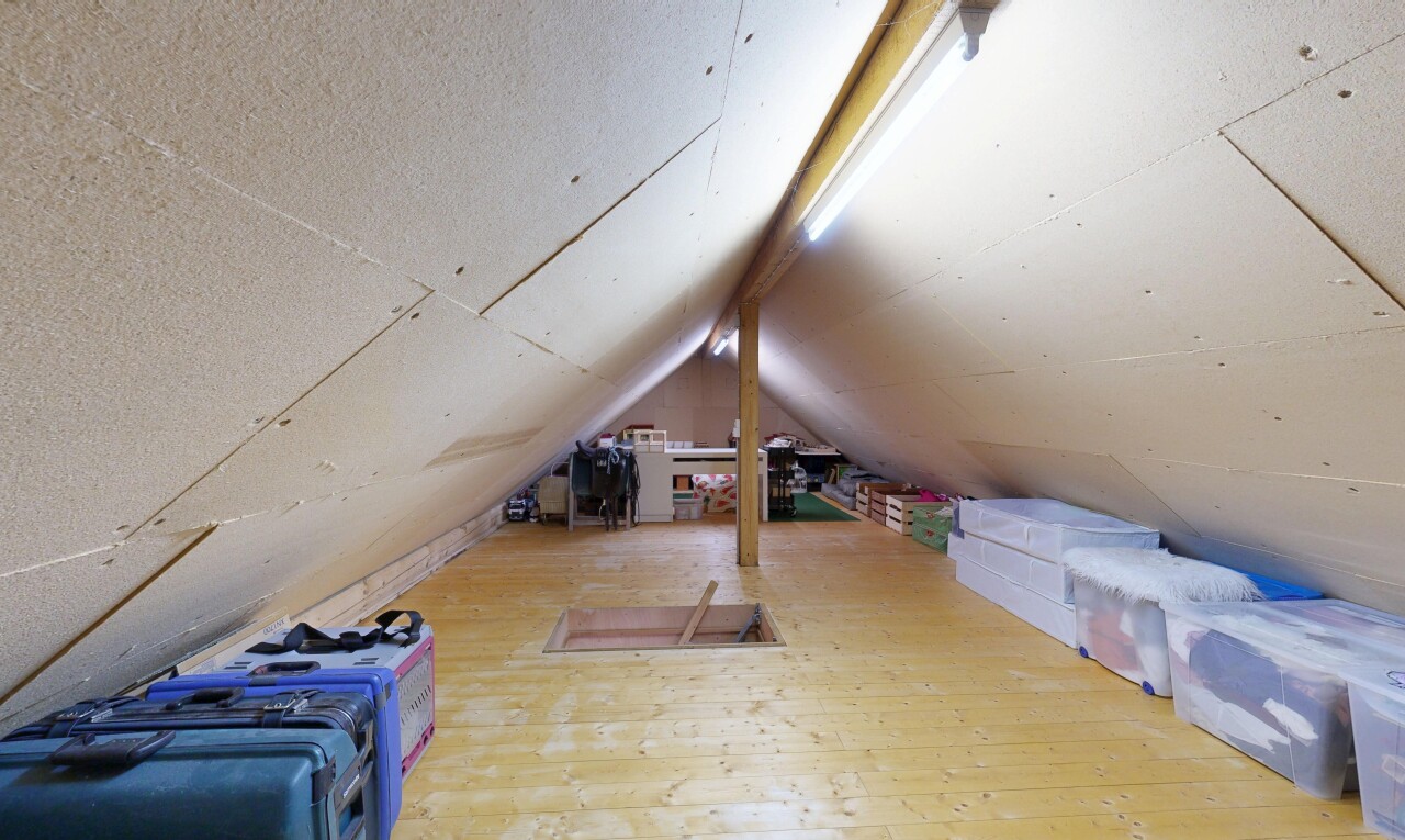 leerer raum mit kathedralendecke, cathedral ceiling, dachschräge, vaulted ceiling, und holzfußboden