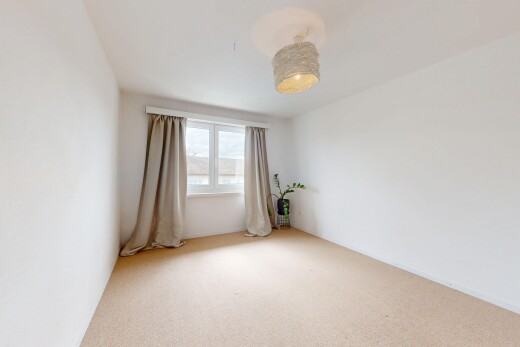 leerer raum mit natürliches licht, natural light, gipskartonwand, drywall, und teppich