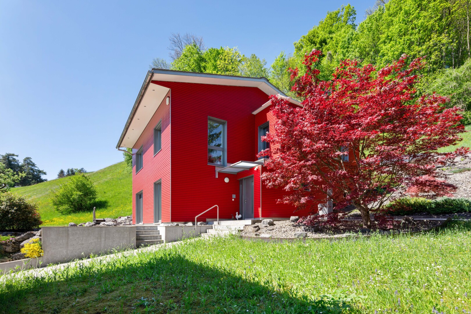 view of home featuring a yard