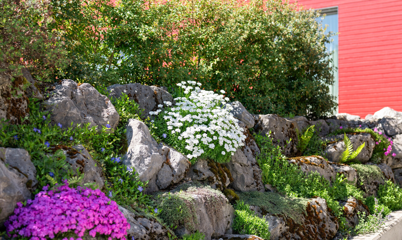 view of garden