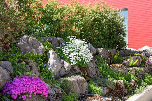 view of garden