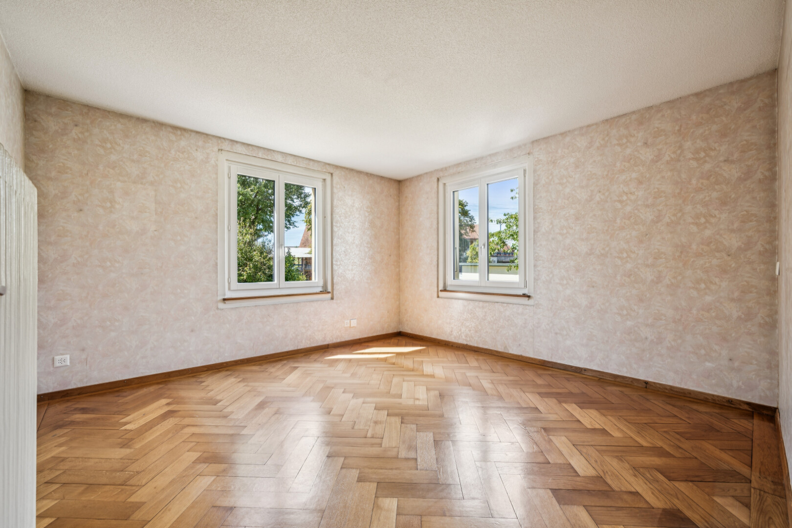 leerer raum mit baseboards wall, sockelleisten, wood finish floor, holzfußboden, und light floor