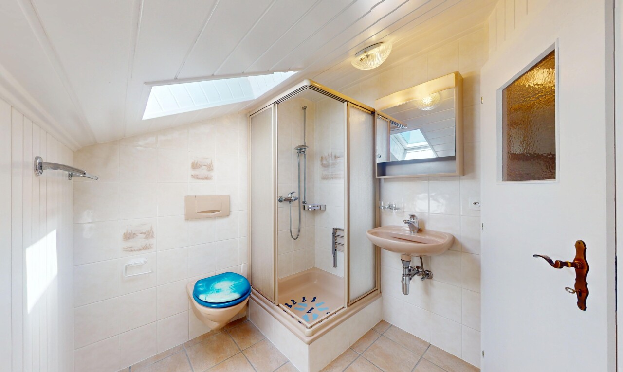 salle de bains avec puits de lumière, tile wall, mur en carrelage, douche, et inside property