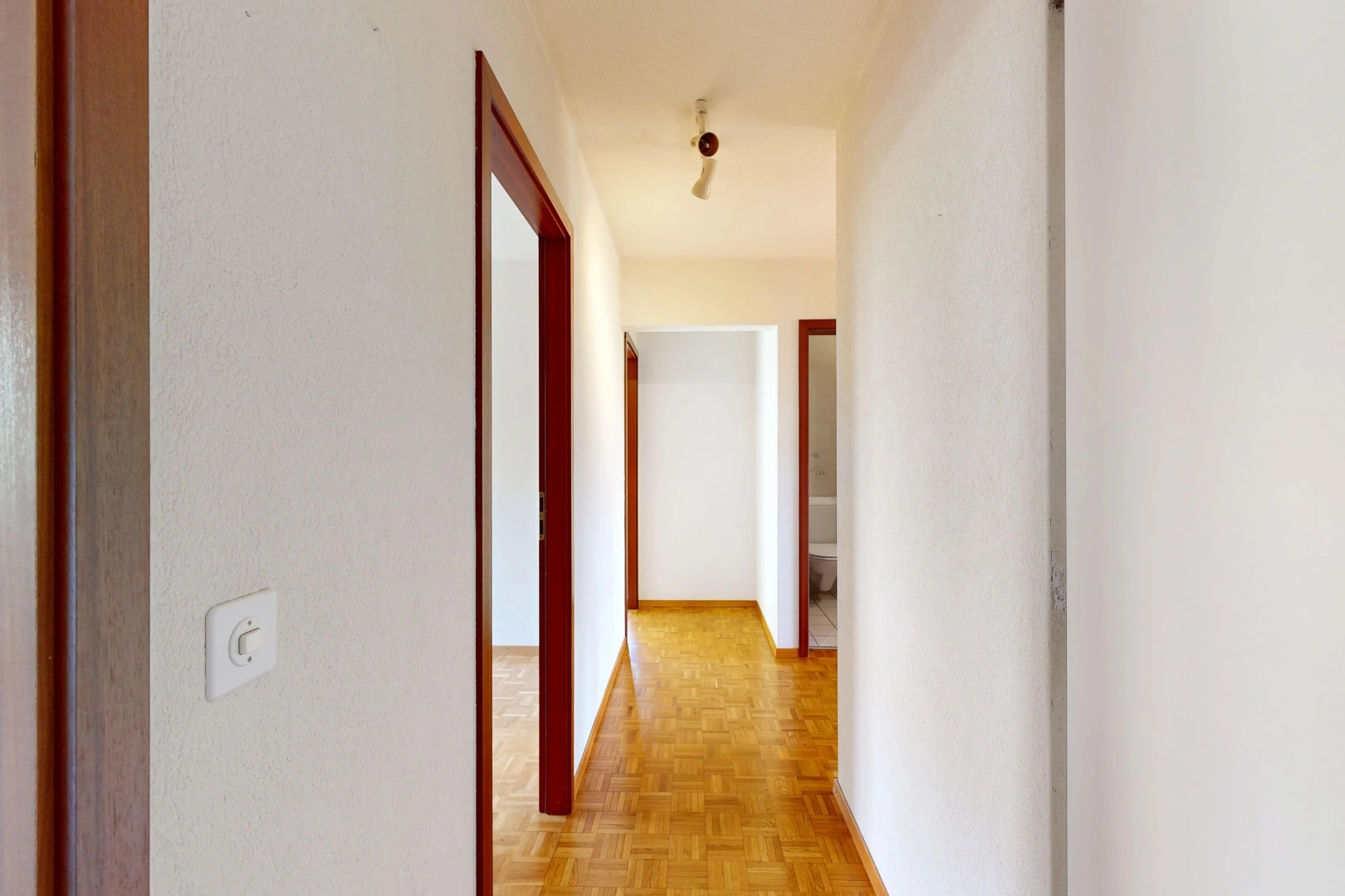 halle / korridor mit holzfußboden, wood finish floor, parquet floor, light floor, und inside property