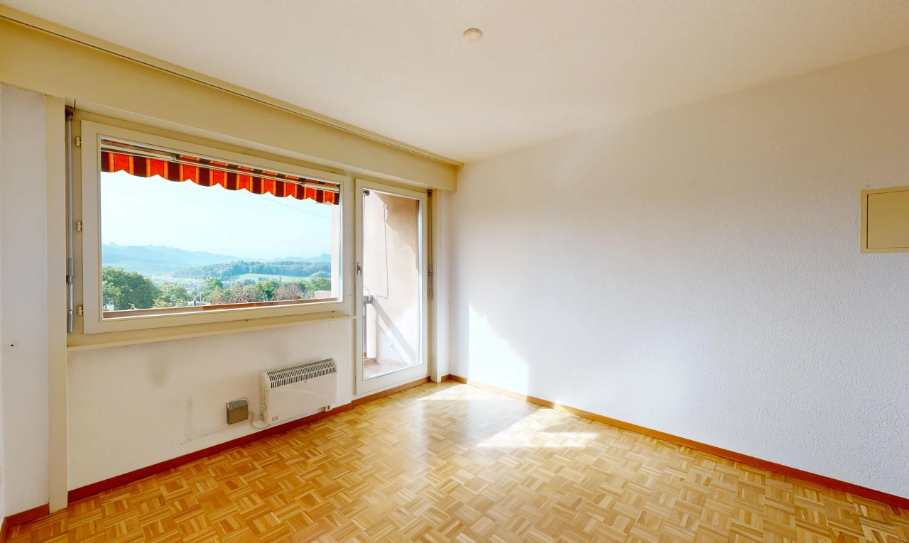 leerer raum mit außenzugang, baseboards wall, sockelleisten, inside property, und wood finish floor