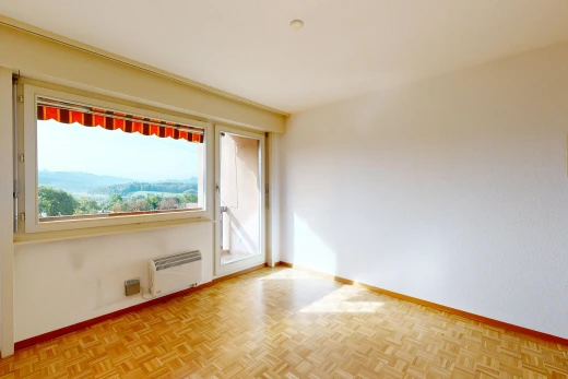 leerer raum mit außenzugang, baseboards wall, sockelleisten, inside property, und wood finish floor
