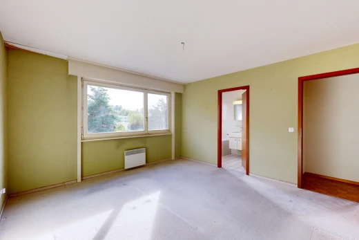 leerer raum mit drywall, gipskartonwand, carpet, teppich, und inside property