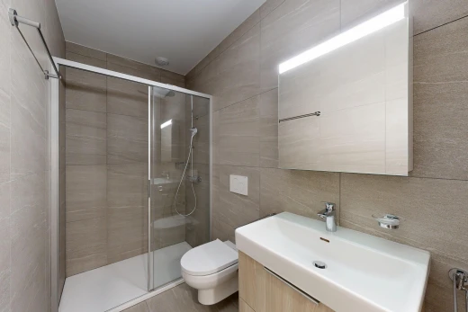 salle de bains avec évier, salle de bain complète, douche, miroir, et lavabo (ou coiffeuse selon le contexte)