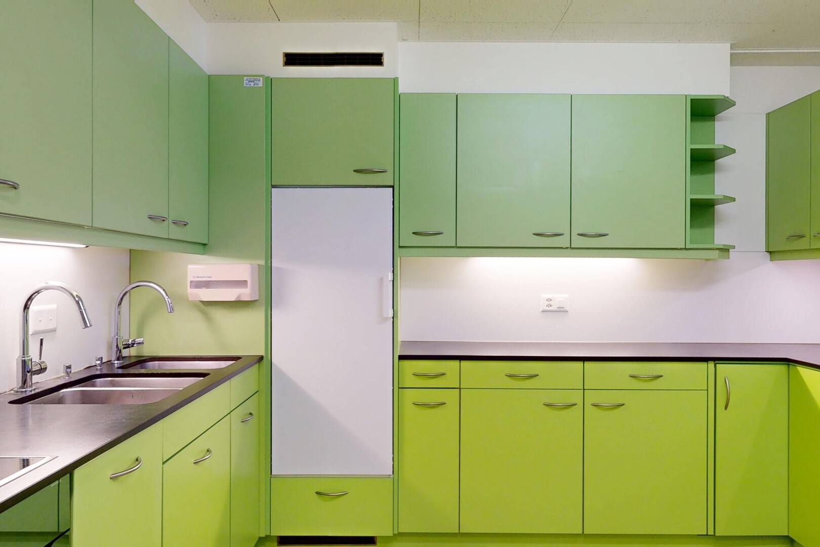 cuisine avec green cabinets, armoires vertes, évier, open shelves, et étagères ouvertes