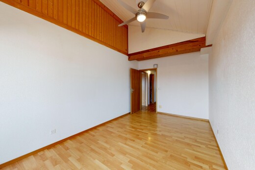 pièce vide avec plafond voûté, vaulted ceiling, sol en finition bois, wood finish floor, et plafond haut