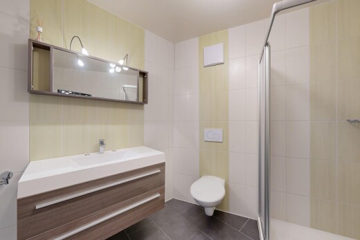 salle de bains avec mur en carrelage, tile wall, salle de bain complète, miroir, et dark floor