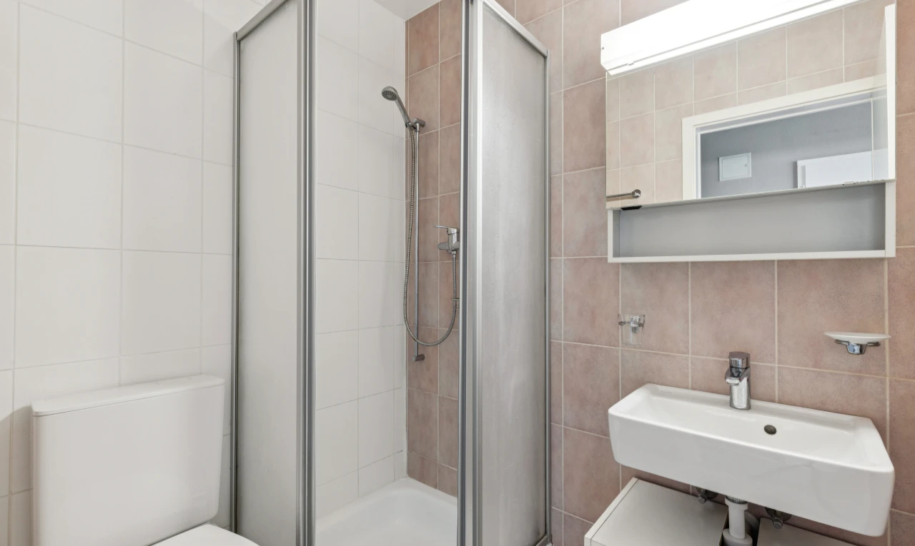 salle de bains avec mur en carrelage, tile wall, salle de bain complète, toilette, et douche