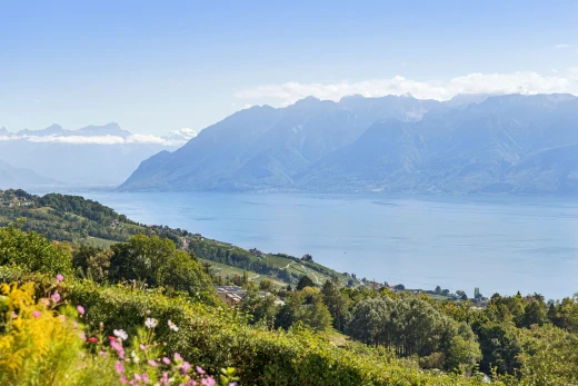 vue sur la montagne avec vue sur la montagne, mountain view, day time, vue sur l'eau, et water view
