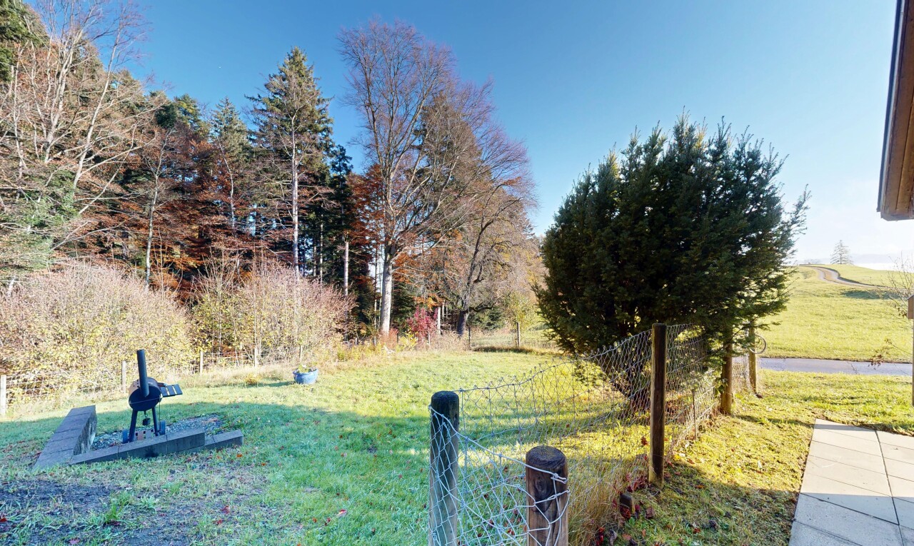 garden featuring a lawn