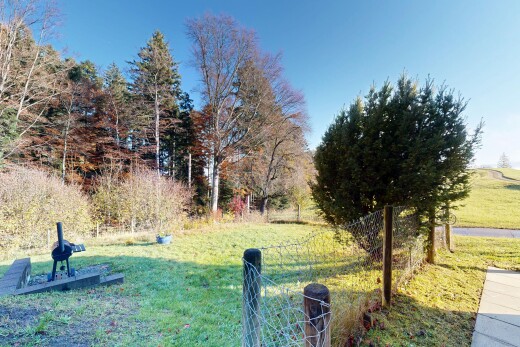 garden featuring a lawn