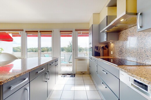 cuisine avec inside property, hotte, armoires grises, lave-vaisselle, et lumière naturelle