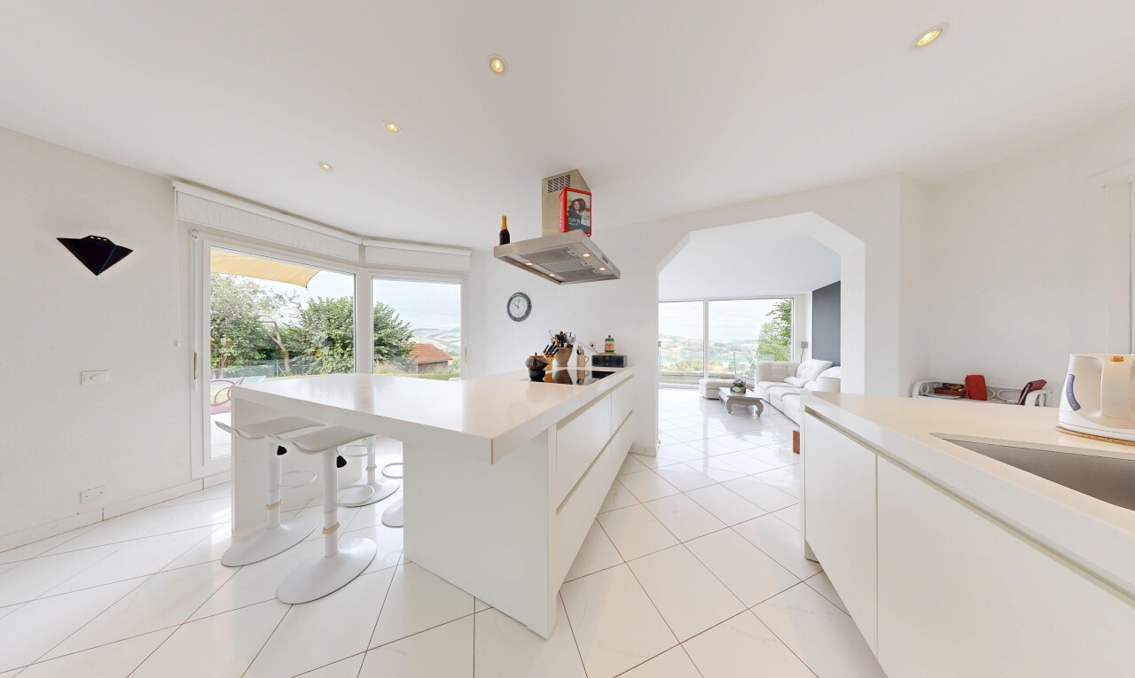 küche mit schränke mit flachen paneelen, flat panel cabinets, arbeitsplatten, light countertops, und küchenbar
