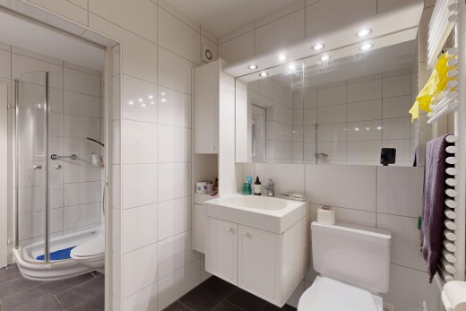 salle de bains avec toilette, tile wall, mur en carrelage, lavabo (ou coiffeuse selon le contexte), et miroir