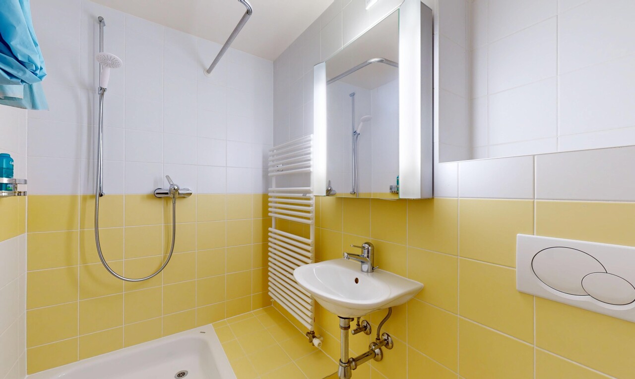 salle de bains avec miroir, salle de bain complète, douche, radiateur, et inside property