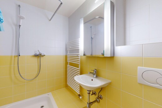 salle de bains avec miroir, salle de bain complète, douche, radiateur, et inside property