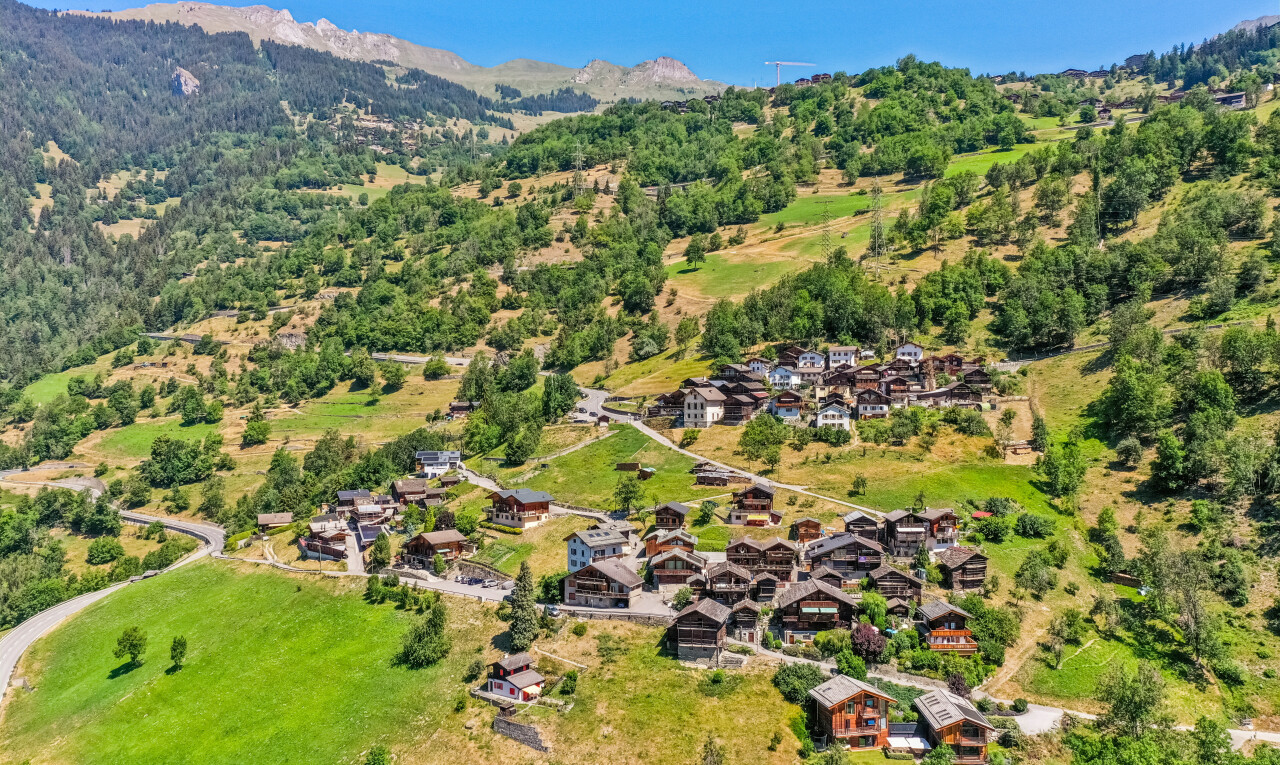 mountain view