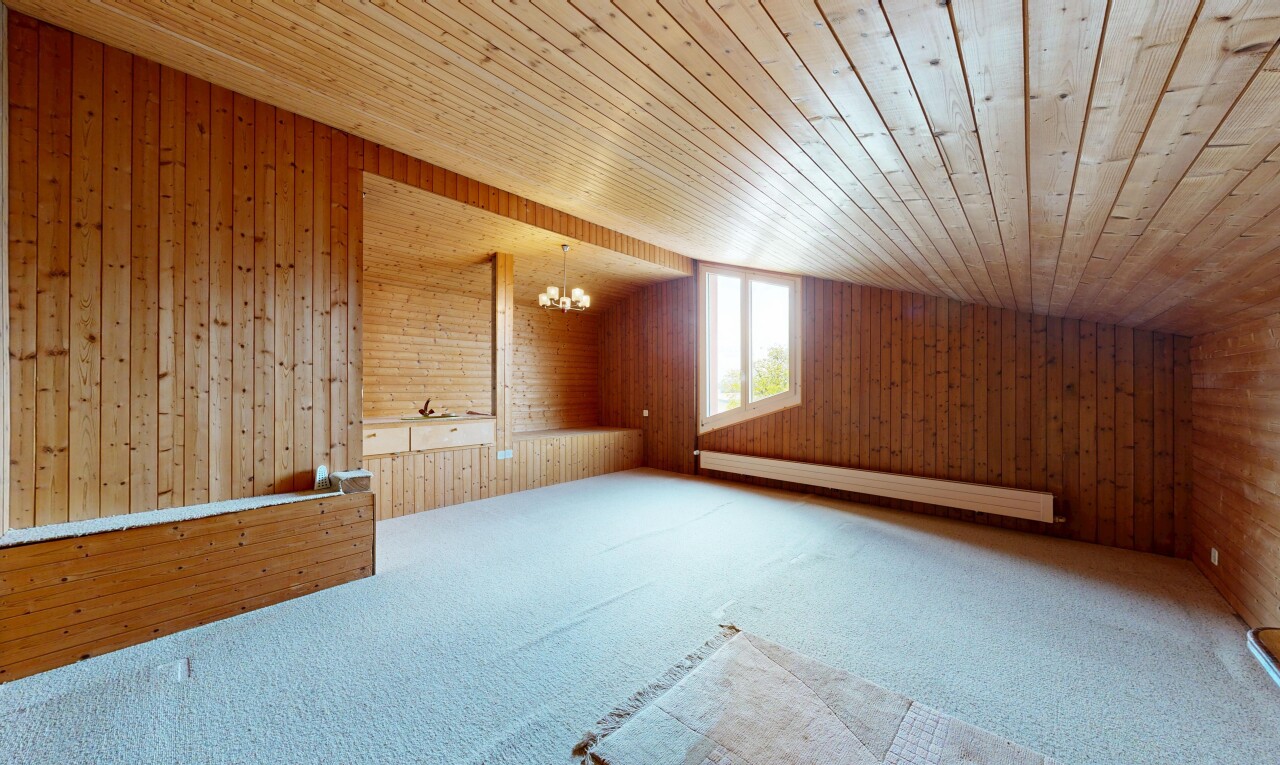 leerer raum mit holzwand, wood wall, bemerkenswerter kronleuchter, teppich, und carpet