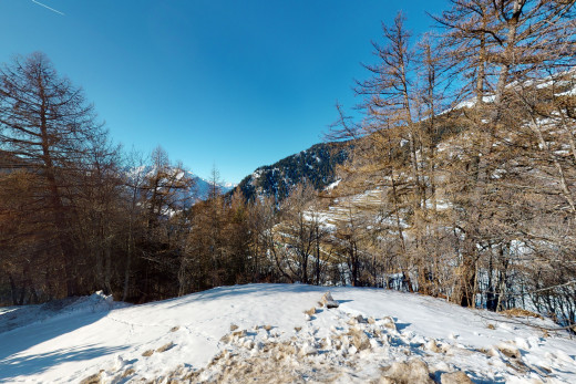 vue sur la montagne avec vue sur la montagne