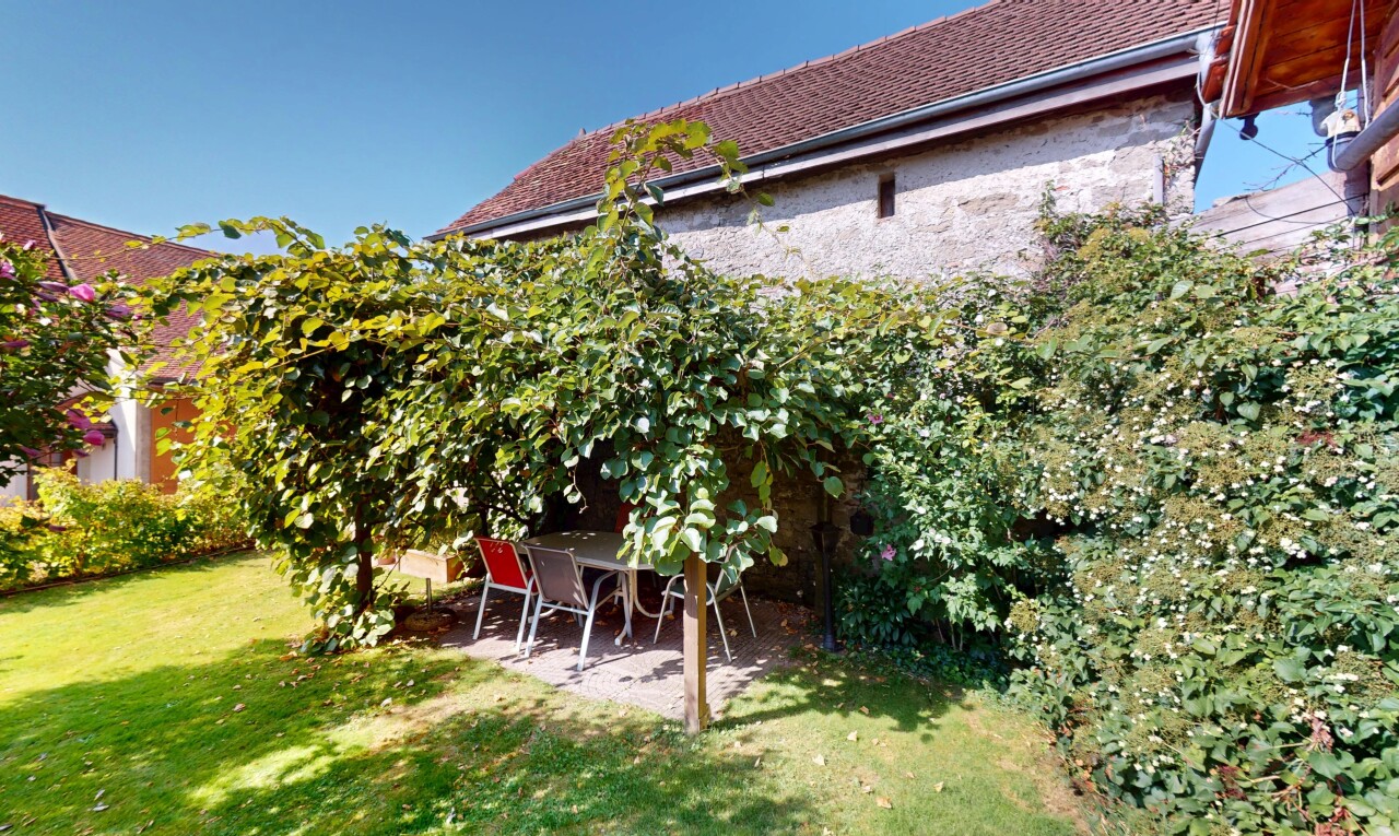 garten mit rasen, terrasse, und day time