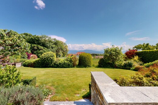 garten mit rasen und day time