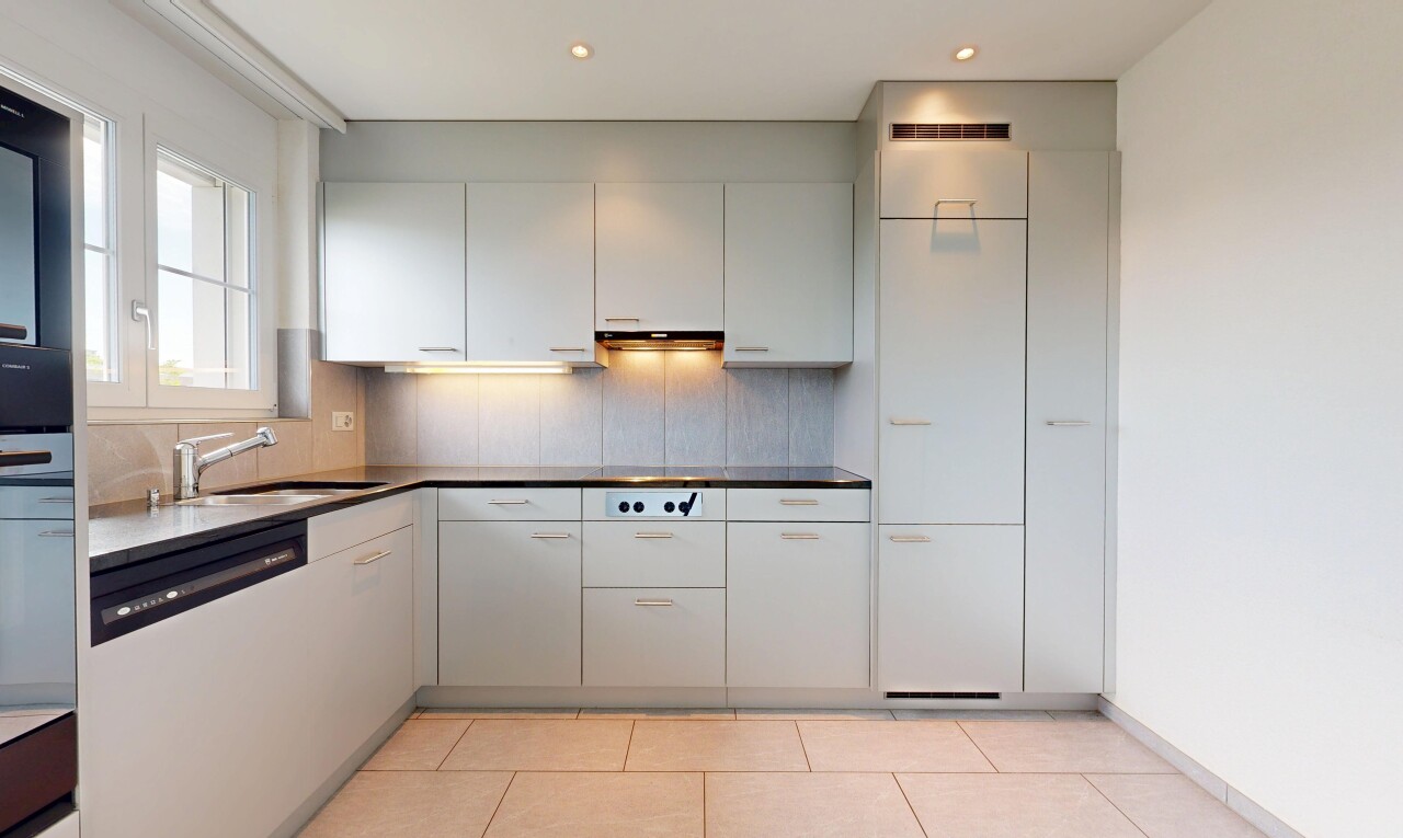 küche mit geschirrspülmaschine, light floor, arbeitsplatten, dark countertops, und waschbecken