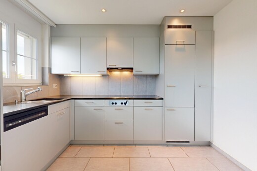 küche mit geschirrspülmaschine, light floor, arbeitsplatten, dark countertops, und waschbecken