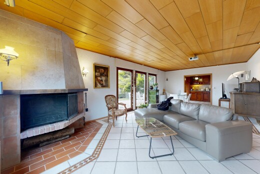salon avec cheminée, plafond en bois, wood ceiling, lumière naturelle, et natural light