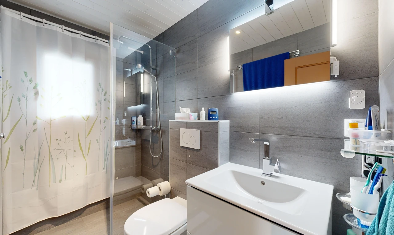 bad mit fliesenwand, spiegel, toilette, schminktisch, und dusche