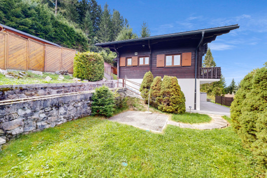 äußeresraum mit zaun und rasen