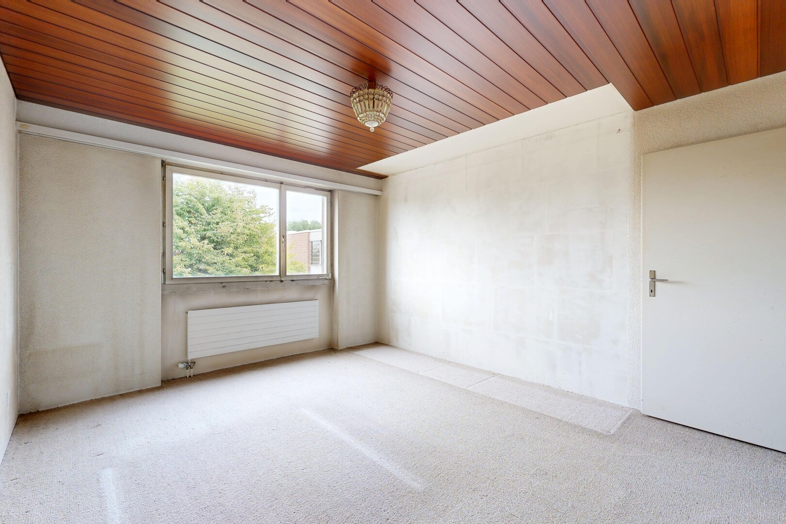 leerer raum mit holzdecke, wood ceiling, kühler, natürliches licht, und teppich