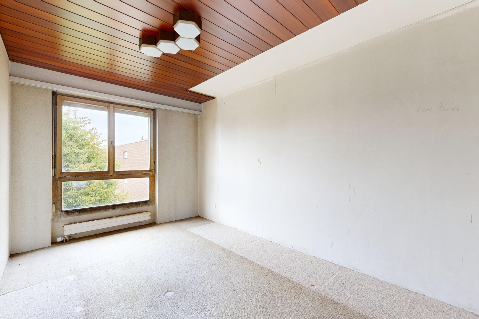 leerer raum mit holzdecke, wood ceiling, gipskartonwand, drywall, und teppich