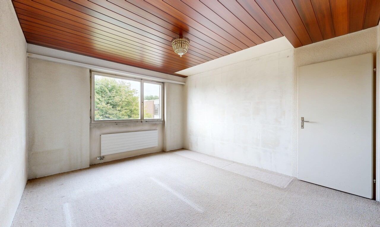 leerer raum mit holzdecke, wood ceiling, kühler, natürliches licht, und teppich